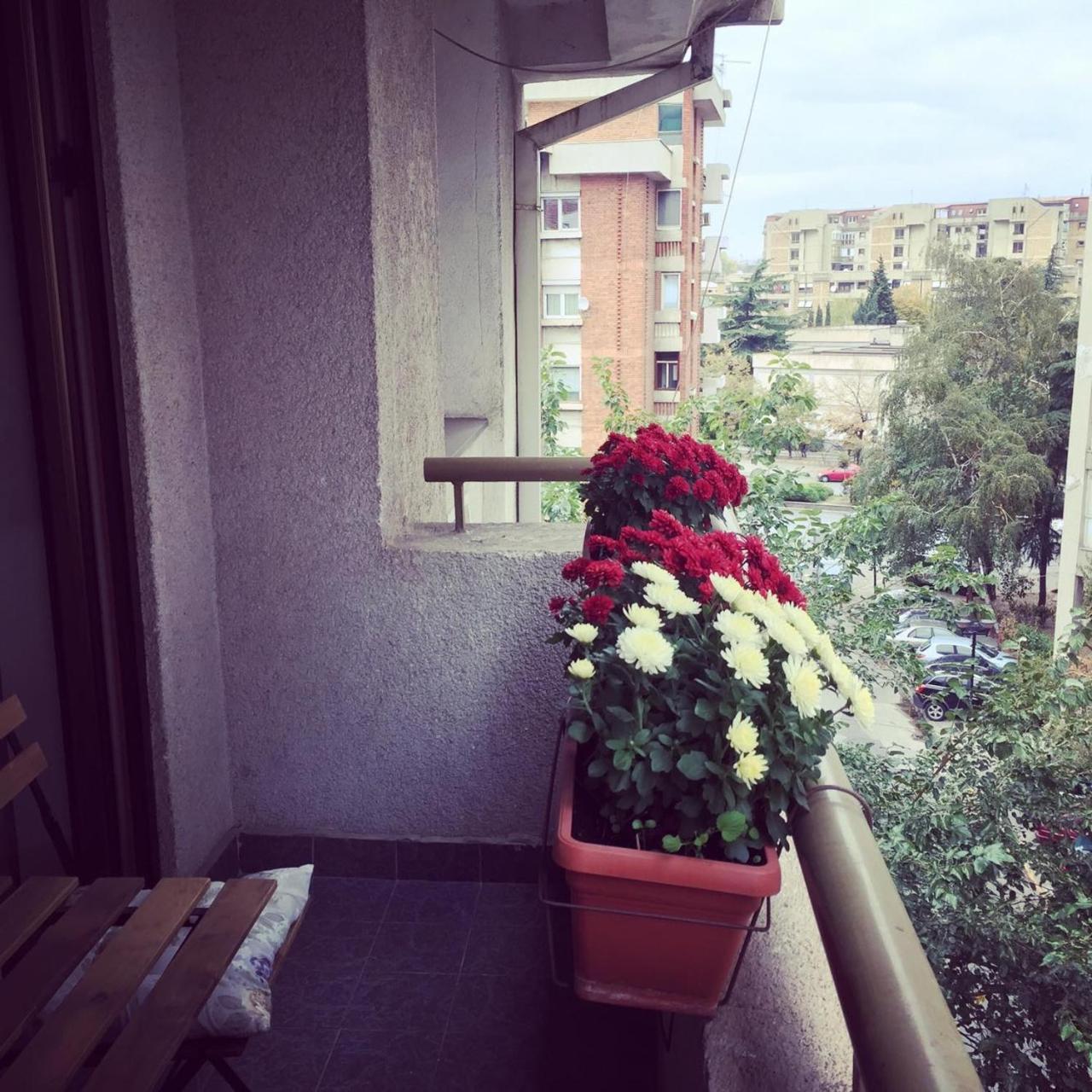3 Bedroom Home With Parking Garage In The Heart Of Skopje Esterno foto